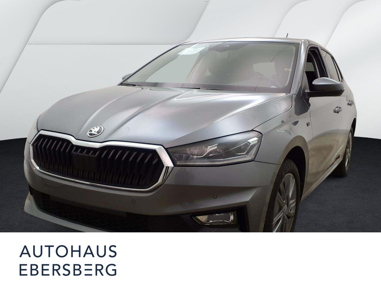 Skoda Fabia Tour 1.0 TSI Kamera LED MultiLenk Winter