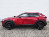Mazda CX-30 2.5l (140PS) Homura Kamera Navi 2025 NEU - Mazda CX-30 Neuwagen