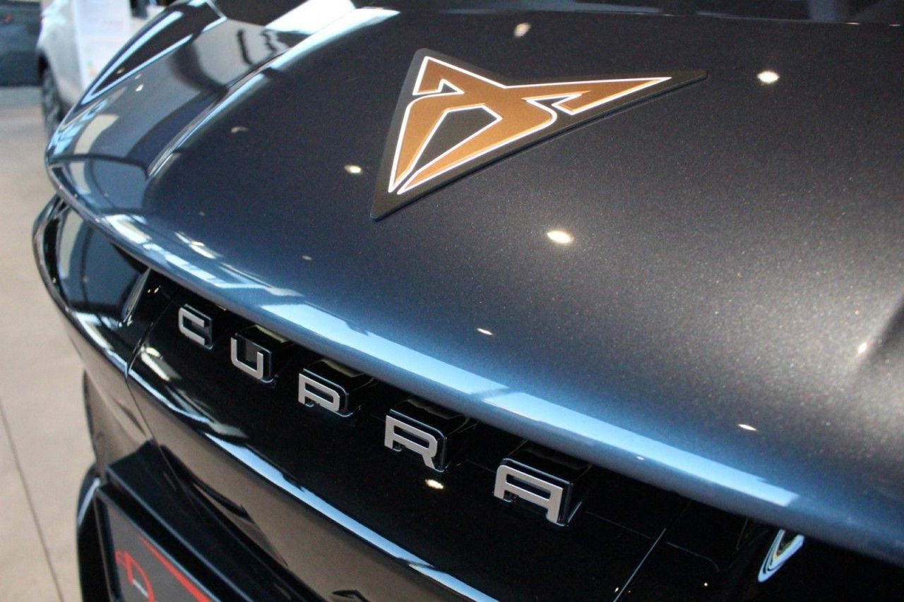 Cupra Tavascan - Bild 21