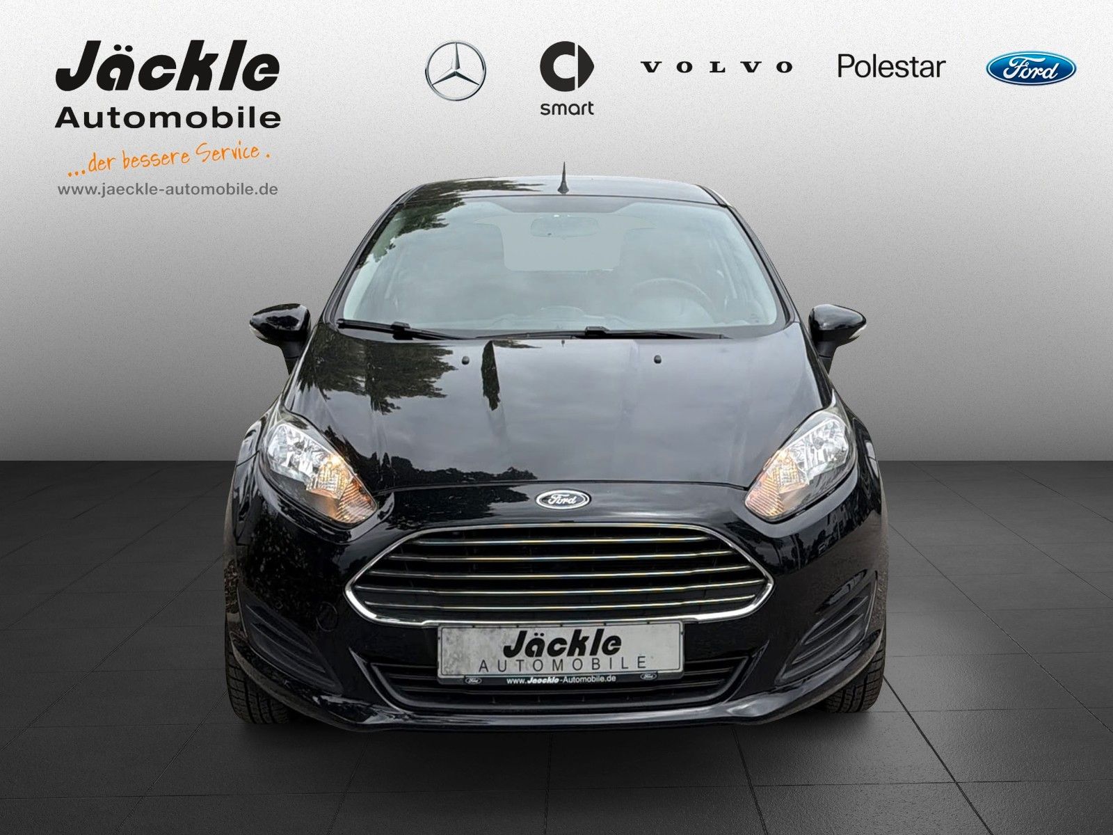 Fahrzeugabbildung Ford Fiesta Sync Edition, WINTER-PAKET