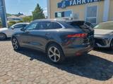 Jaguar F-Pace F-PACE Prestige AWD AHK Paket Winter LED - gebrauchte Jaguar F-Pace aus dem Jahr 2017