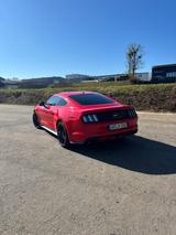 Ford Mustang 2.3 EcoBoost - - Ford Mustang: Rot