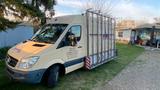 Mercedes-Benz Sprinter - Mercedes-Benz Sprinter aus 2008