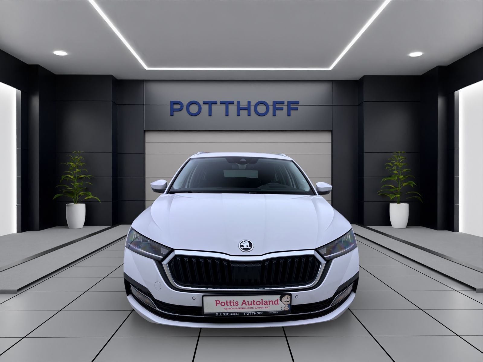Skoda Octavia - Bild 8