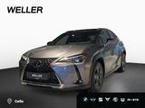 Lexus UX 250h Launch Edition Bluetooth Navi LED Klima - Lexus aus 2019