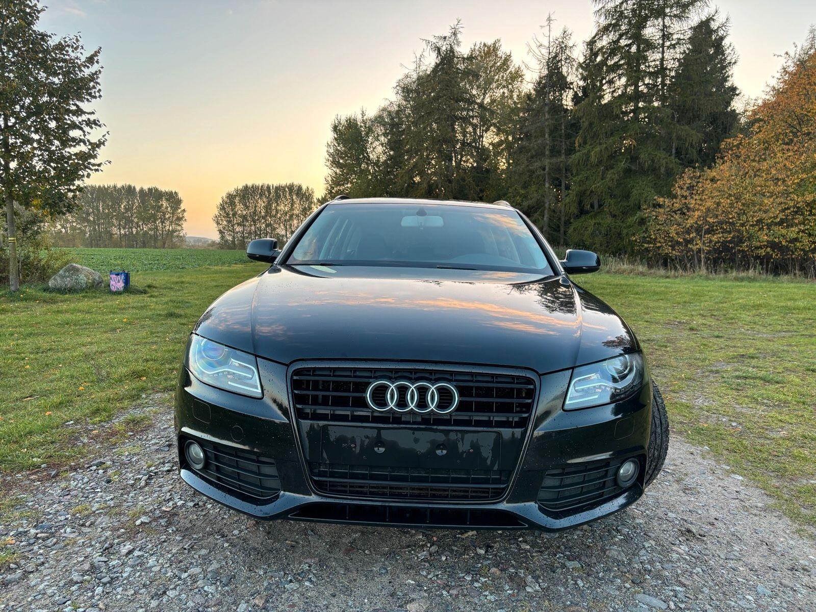 Audi A4 2011 — вигляд ззаду