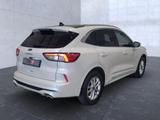 Ford Kuga Plug-In Hybrid Vignale LED Leder Kamera AHK - Ford Kuga Vignale mit Hybrid-Antrieb (Benzin/Elektro)