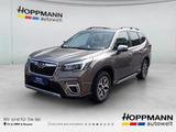 Subaru Forester Subaru Forester, 2.0ie Mild-Hybrid Akti - Subaru Gebrauchtwagen von 2022