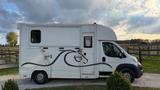 Citroën Pferdesprinter - 2er Transporter mit Wohnkabine - Tier- & Pferdetransport für 2 Pferde