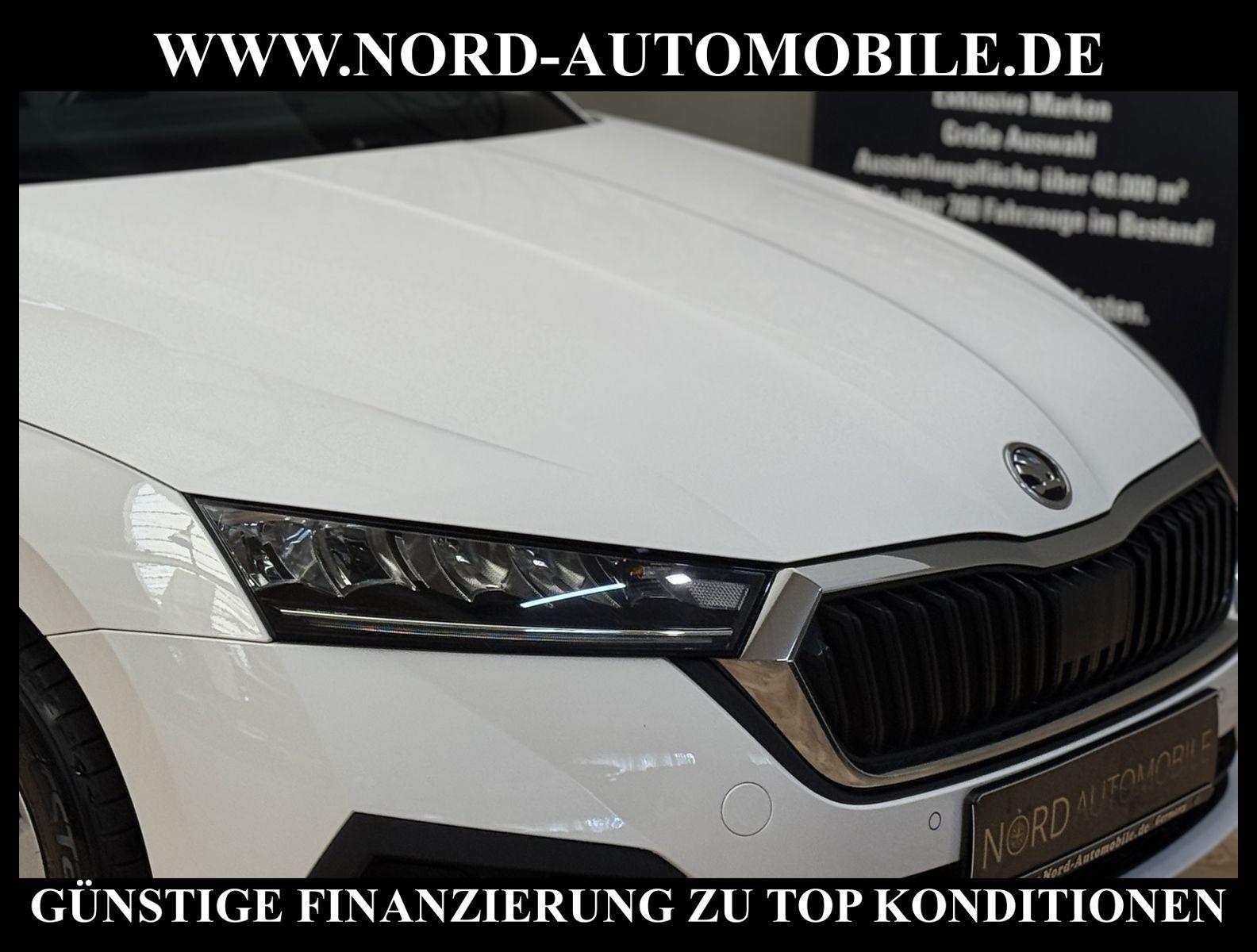 Skoda Octavia Limousine Ambition 2.0 TDI DSG Virt.Cock