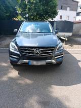 Mercedes-Benz Mercedes ML250 4Matic - Mercedes-Benz ML 250: Privatanbieter