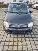 Fiat Panda 169 - Fiat Panda 169