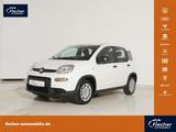 Fiat Panda 1.0 GSE Hybrid
