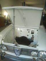 Alfa Romeo Giulia 1600 BISCIONE (LEGGERE DESCRIZ - Alfa Romeo Giulia: 1600
