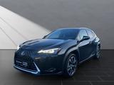 Lexus UX 250h*1HD*SHZ*ALLW.* 15J-GAARANTIE - Lexus aus 2023