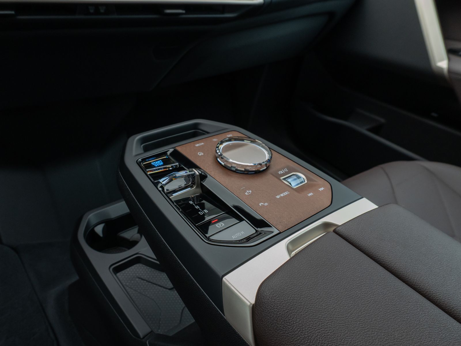 Fahrzeugabbildung BMW iX xD40 Sport DAB SoftClose SkyLounge H/K 21Zoll