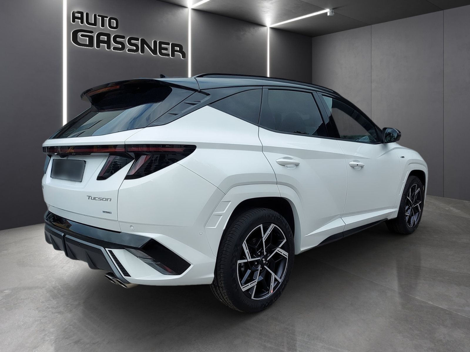 Fahrzeugabbildung Hyundai Tucson 160 PS N Line 4WD DCT Assip. Sitzp DL ECS