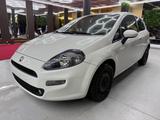 Fiat Punto Pop - Fiat Punto POP mit Diesel-Antrieb