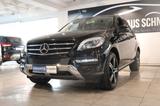 Mercedes-Benz ML 250 CDI BT *1.Hand*Navi*AHK 3,5t*RFK* - Mercedes-Benz ML 250 Gebrauchtwagen