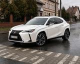 Lexus UX 250h AWD Luxury Line HUD, Schiebedach - Lexus UX: Luxury Line