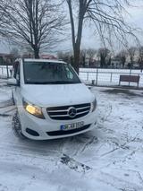 Mercedes-Benz V 250 d 4MATIC AVANTGARDE EDITION lang AVANT... - weiße Mercedes-Benz V-Klasse