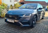 Skoda Octavia 2.0 TSI RS PLUS CHALL.ERGO CANTON 8FACH