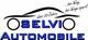 Selvi Automobile