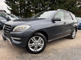 Mercedes-Benz ML 350 CDI BlueTec 4Matic/Pano/Alcantara/Xenon - Mercedes-Benz ML 350 Gebrauchtwagen