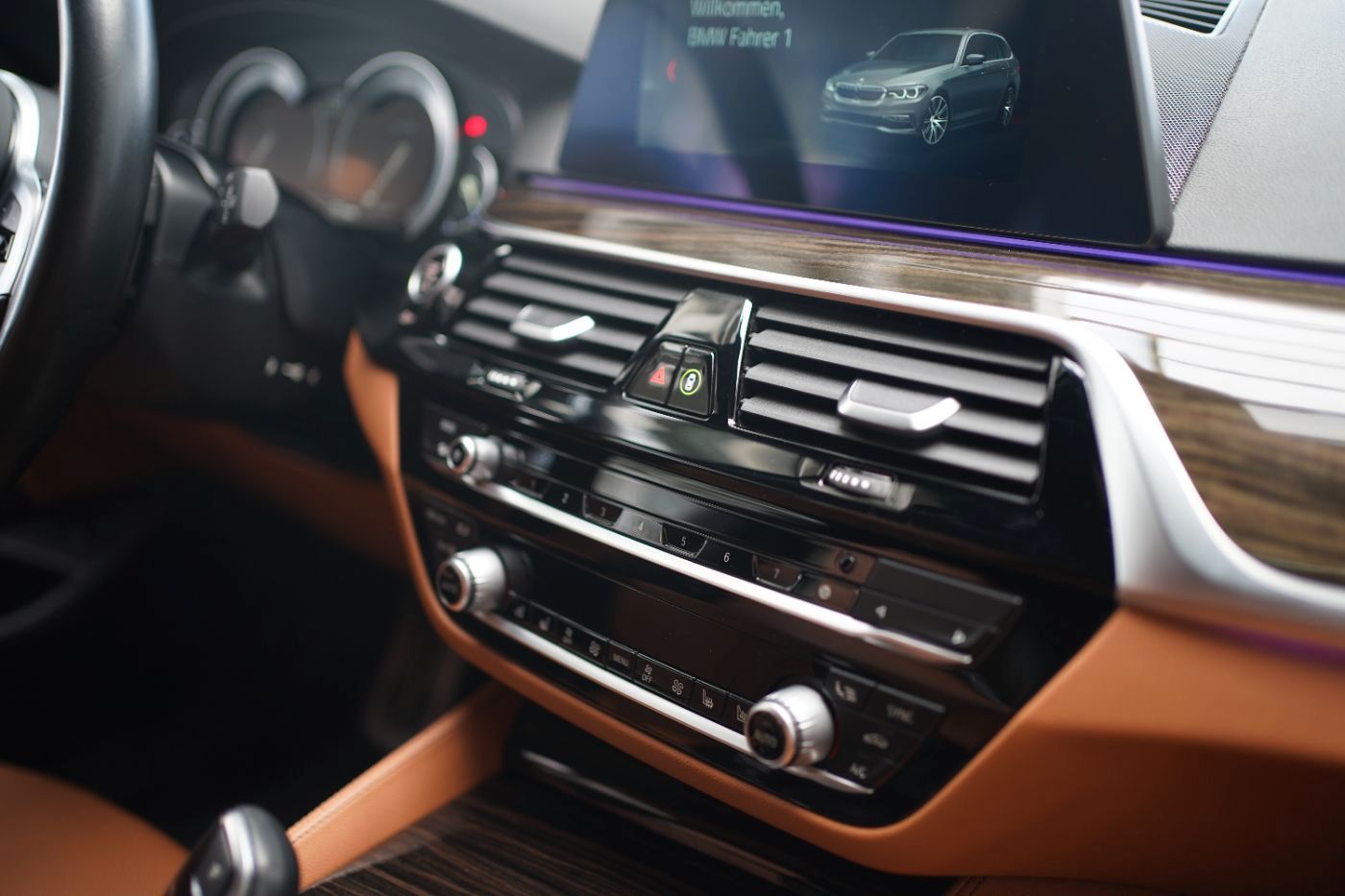 Fahrzeugabbildung BMW 530d xDrive M Sport Standheizung+PanoramaGlasdac