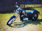 Honda Shadow VT 600 - Angebote