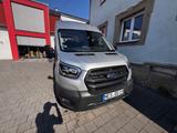 Ford Transit Behindertengerecht 8 Sitzplätze