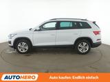 Skoda Kodiaq 2.0 TDI Ambition Aut.*NAVI*LED*ACC*CAM* - Skoda Gebrauchtwagen in Rostock