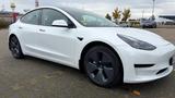 Tesla Model 3 LFP 60 kWh | Modelljahr 2021 | Intel  - Tesla Gebrauchtwagen in Dortmund