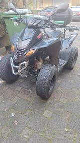 Dinli 50 special  - QUAD VON 1 BIS 50 CCM