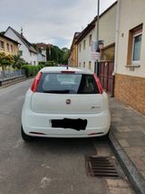 Fiat Punto 1.2 8V My Punto - Fiat Punto in Wiesbaden