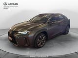 Lexus UX UX250H DESIGN 4WD - gebrauchte Lexus UX aus dem Jahr 2024