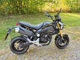 Honda MSX 125 - HONDA MSX 125