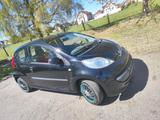 Peugeot 106 mit neu TÜV - Peugeot 106 Benziner Gebrauchtwagen