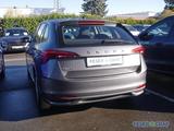 Skoda Scala 1.0 TSI DSG GRA LED PDC Sitzh. Smart Link - Skoda Scala Jahreswagen