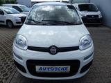 Fiat Panda Easy 1.2 KLIMA/1.Hand/Servo/Allwetterreif. - Fiat Panda