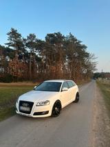 Audi A3 8p 2.0 TDI 170PS - Audi A3: TDI 170
