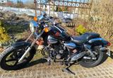 Kymco Zing II Bj 2010 Chopper 125 ccm - Angebote