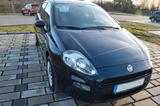 Fiat Punto 1.4 - 8V Start/Stop - Fiat Punto Start mit Benzin-Antrieb