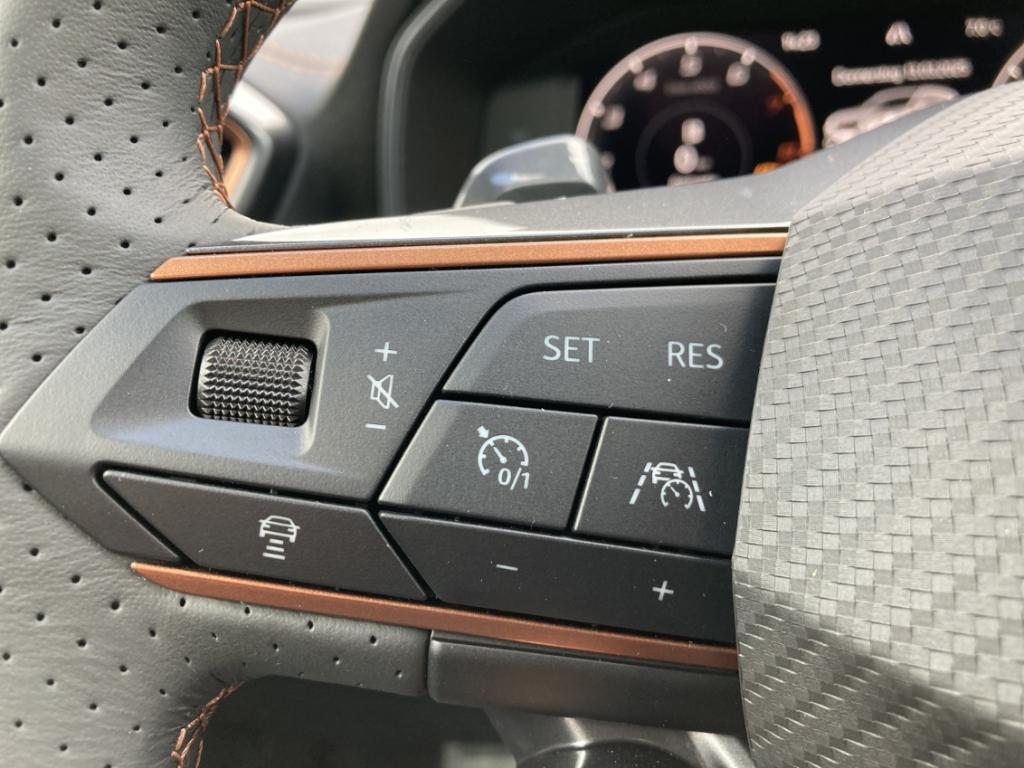 Cupra Formentor VZ 2.0 TSI 4Drive *5JGarantie* Rückfah, миниатюра 24