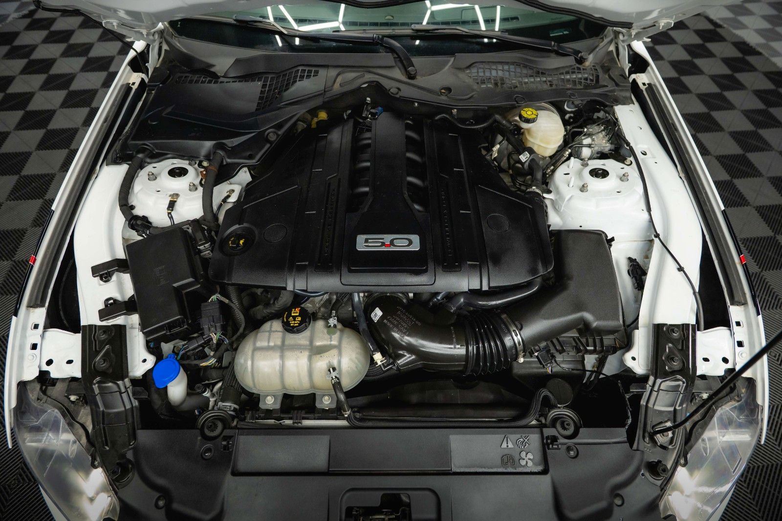 Fahrzeugabbildung Ford Mustang Shelby GT 500 5.0 V8 PREMIUM *ACC*LED*