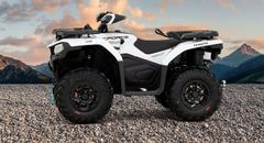 CFMOTO CForce 450 S EPS 4x4 ABS +++ SOFORT VERFÜGBAR