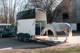 Humbaur Pegasus 2700 Alu Einstiegstüre Pferdeanhänger - Angebote entsprechen deinen Suchkriterien