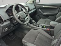 Skoda Karoq - Vorschau Bild 10
