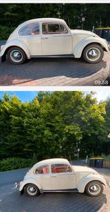Volkswagen VW Käfer 1200 Export Oldtimer - VW Gebrauchtwagen von 1965