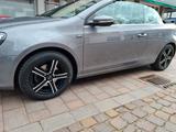 Volkswagen Golf 2.0 TDI 81kW BMT LOUNGE Cabriolet LOUNGE - Volkswagen Golf mit Diesel-Antrieb: Cabrio, 2.0